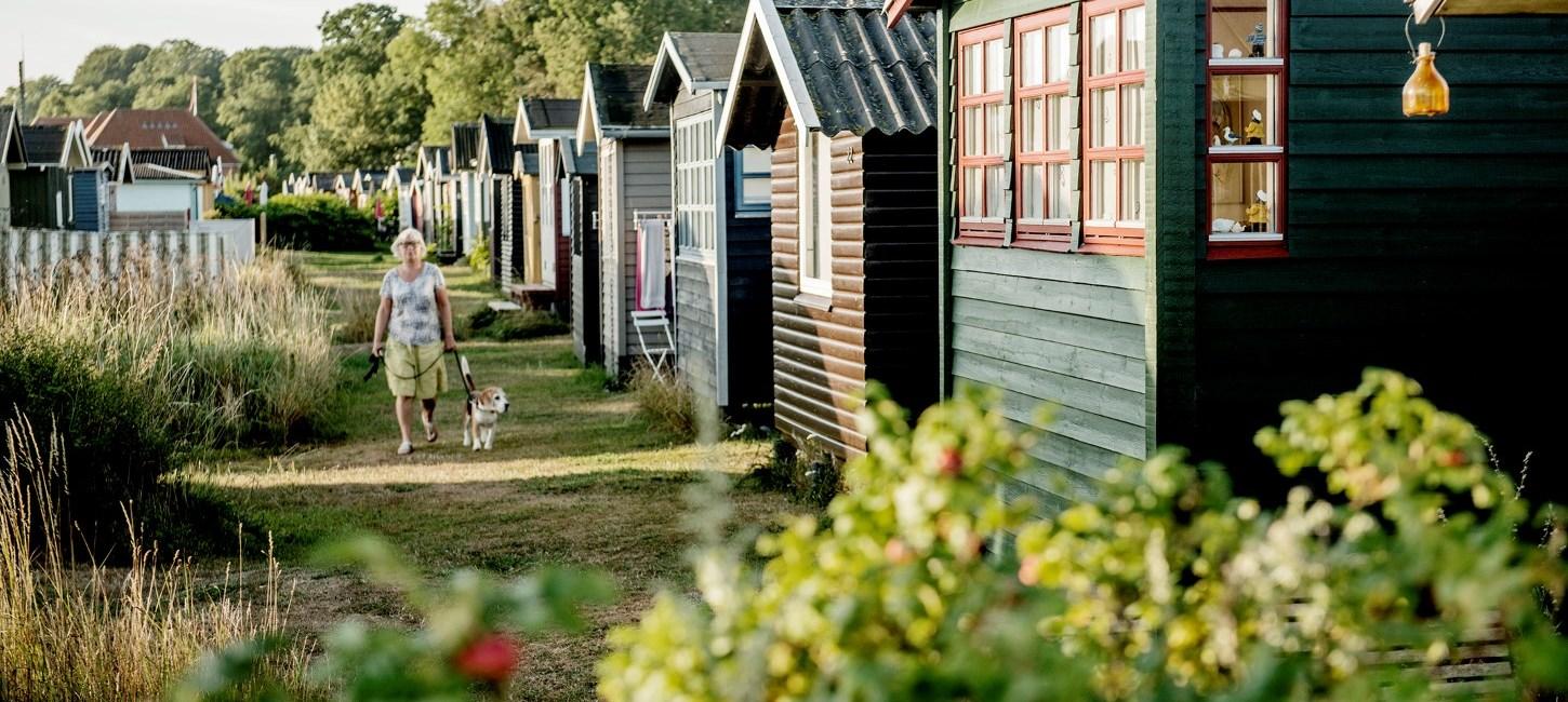 Huse ved Sydstranden, kvinde med hund